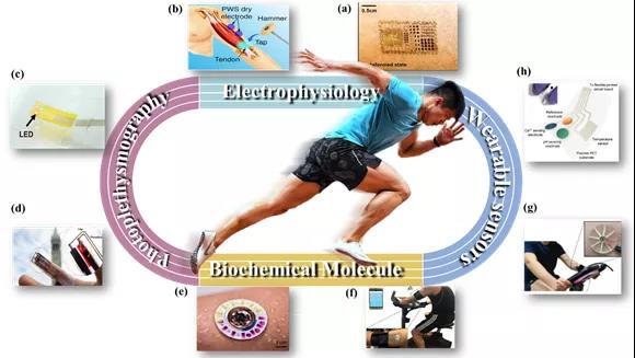 苏炳添副教授最新论文：柔性可穿戴传感器研究综述2.jpg