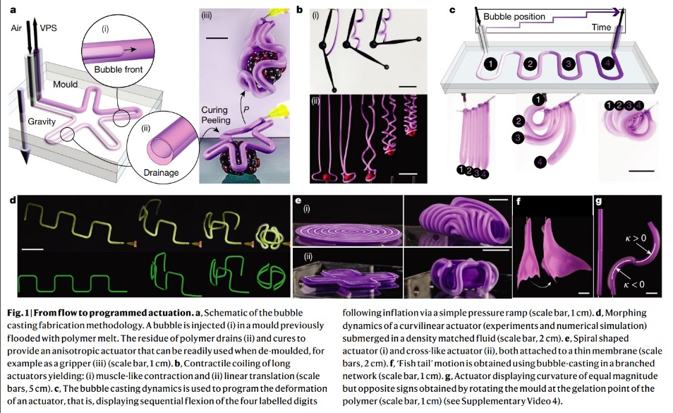 “气泡铸造”登上自然封面：普林斯顿大学开发新型软机器人2.jpg