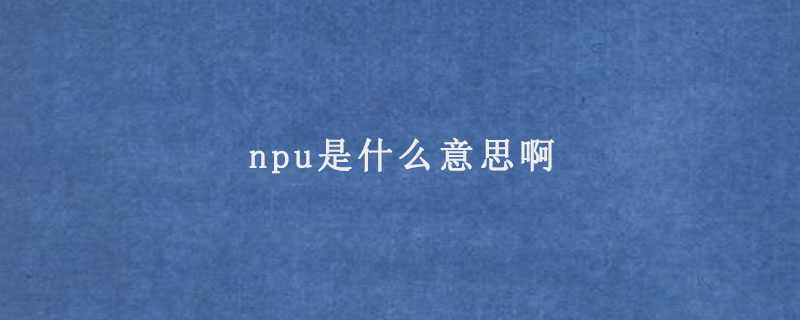 npu是什么意思啊