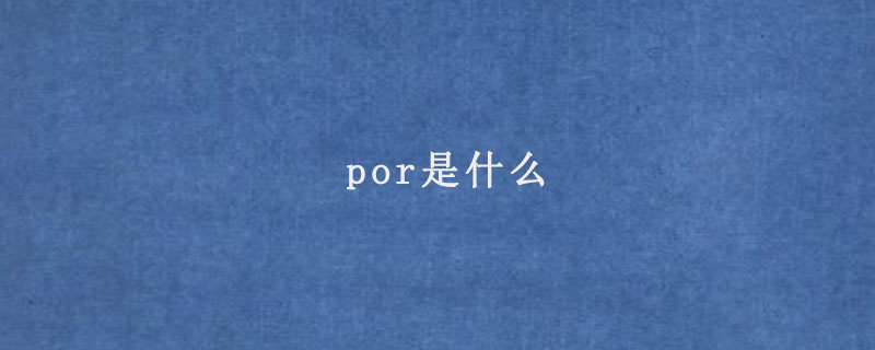 por是什么