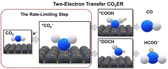 我国科研团队揭示了为二氧化碳电化学还原反应“提速”的关键1.png
