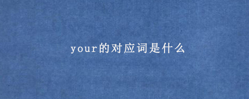 your的对应词是什么