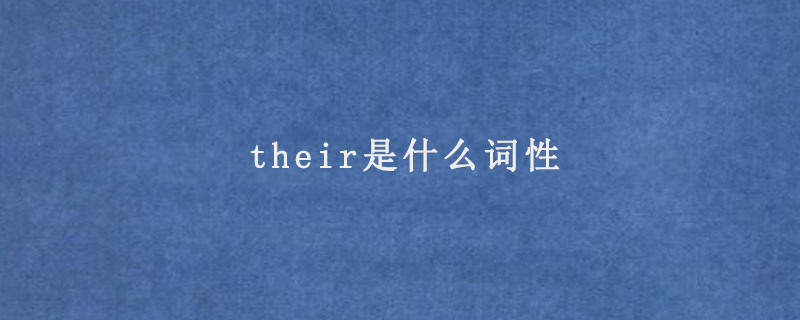 their是什么词性