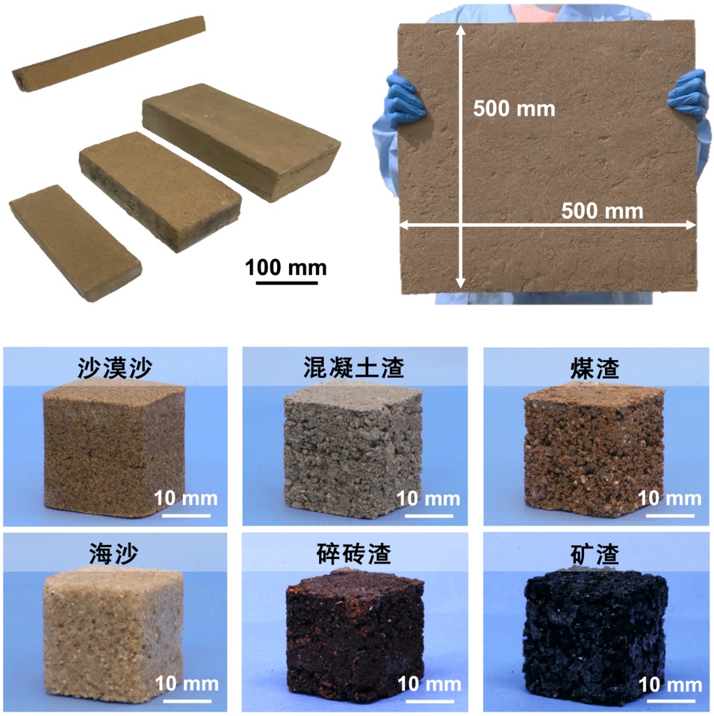 我国科学家制备出仿生低碳新型建筑材料1.jpg