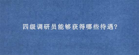 四级调研员能够获得哪些待遇?