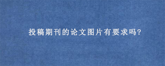 投稿期刊的论文图片有要求吗?