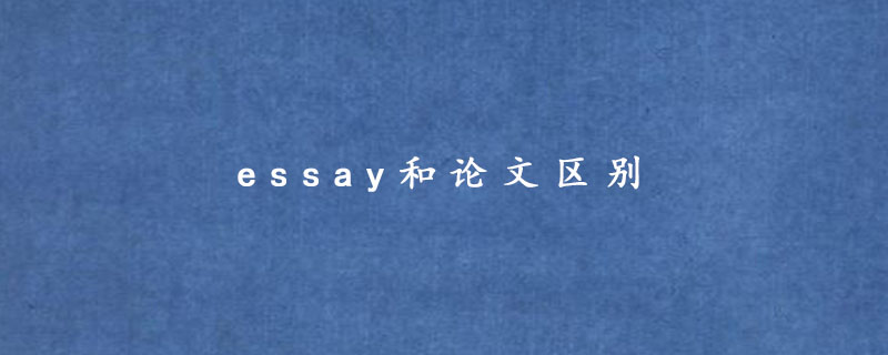 essay和论文区别