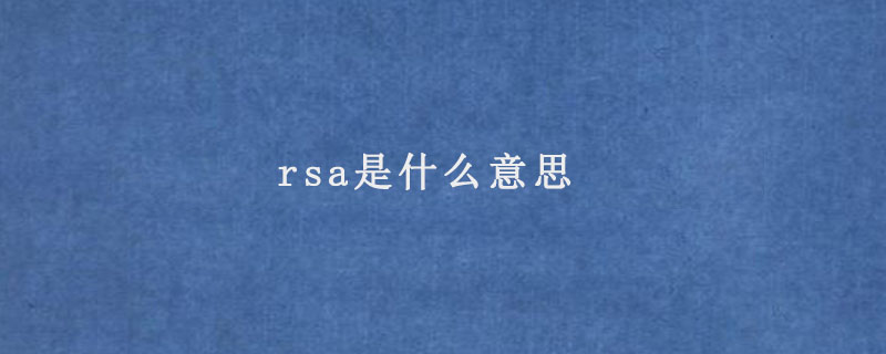 rsa是什么意思