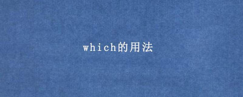 which的用法