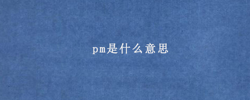 pm是什么意思